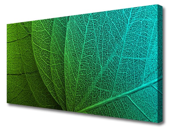 Obraz na plátne Abstrakcie listy rastlina 125x50 cm