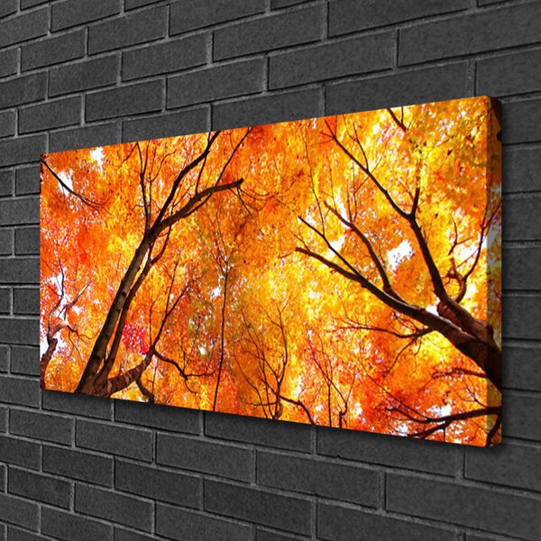 Obraz na plátne Stromy príroda 100x50 cm