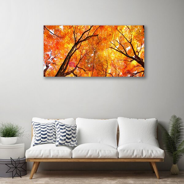 Obraz na plátne Stromy príroda 100x50 cm