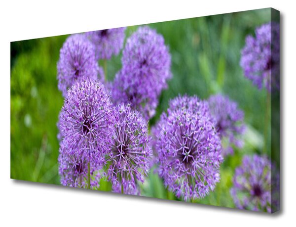 Obraz Canvas Fialové kvety lúka 125x50 cm