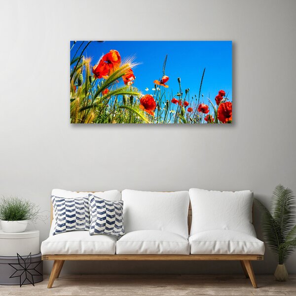 Obraz Canvas Kvety maky pole trávy 100x50 cm