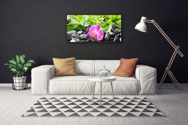 Obraz Canvas Kvety orchidea kamene zen 100x50 cm