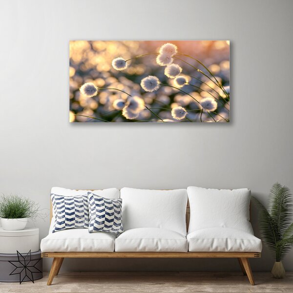 Obraz Canvas Kvety rastlina príroda 100x50 cm