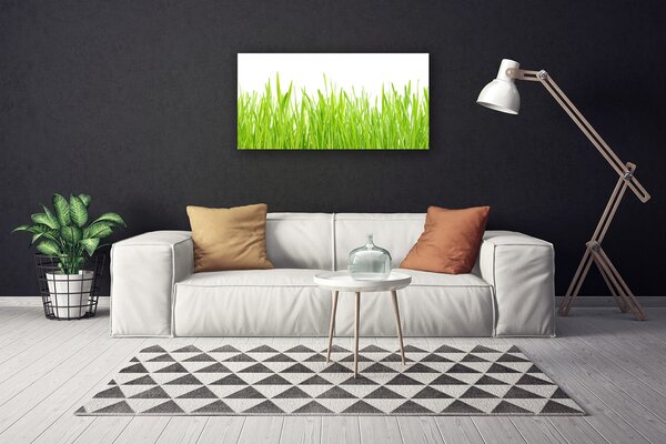 Obraz Canvas Tráva príroda rastlina 100x50 cm