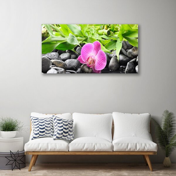 Obraz Canvas Kvety orchidea kamene zen 100x50 cm
