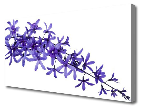 Obraz Canvas Kvety rastliny príroda 100x50 cm