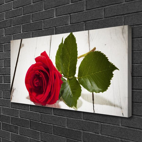 Obraz Canvas Ruže kvet rastlina 100x50 cm