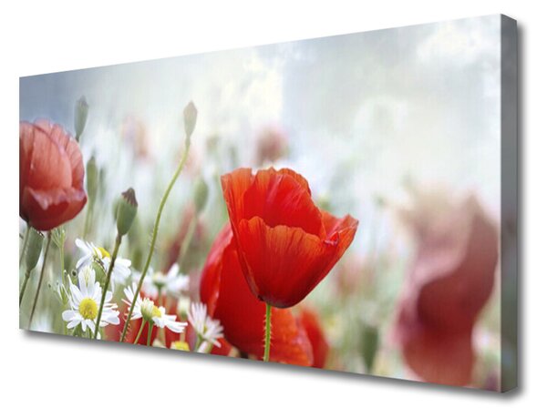 Obraz Canvas Kvety plátky rastlina 100x50 cm