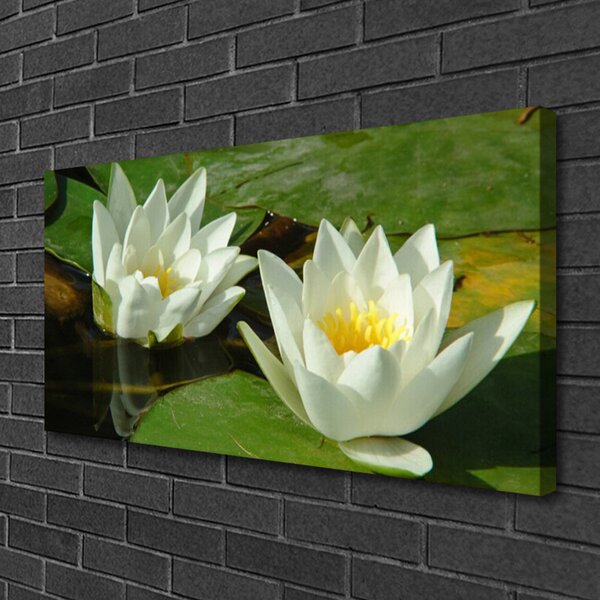 Obraz Canvas Kvety rastliny príroda 100x50 cm