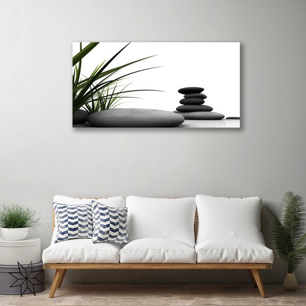 Obraz Canvas Kamene zen tráva 100x50 cm