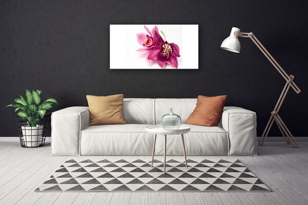 Obraz Canvas Kvety rastlina príroda 100x50 cm