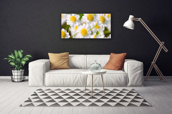 Obraz Canvas Kvety sedmokráska príroda 100x50 cm