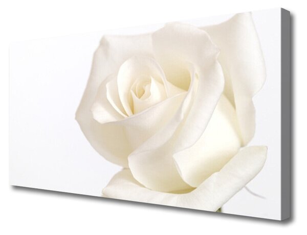 Obraz Canvas Ruže kvety 100x50 cm