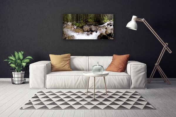 Obraz Canvas Les rieka vodopády 100x50 cm