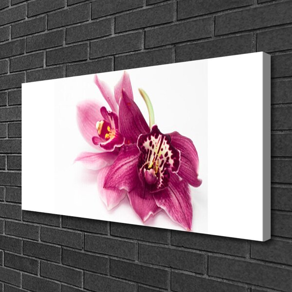 Obraz Canvas Kvety rastlina príroda 100x50 cm