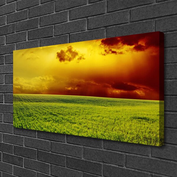 Obraz Canvas Pole príroda 100x50 cm