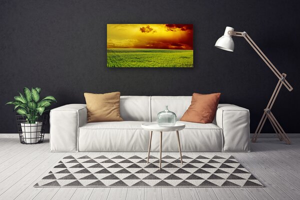 Obraz Canvas Pole príroda 100x50 cm