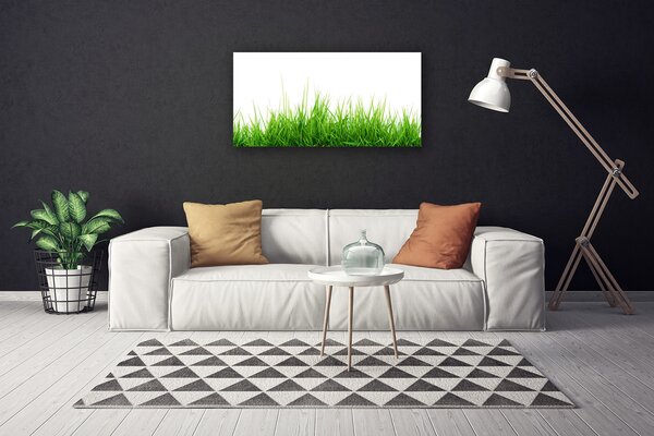 Obraz Canvas Tráva príroda rastlina 100x50 cm