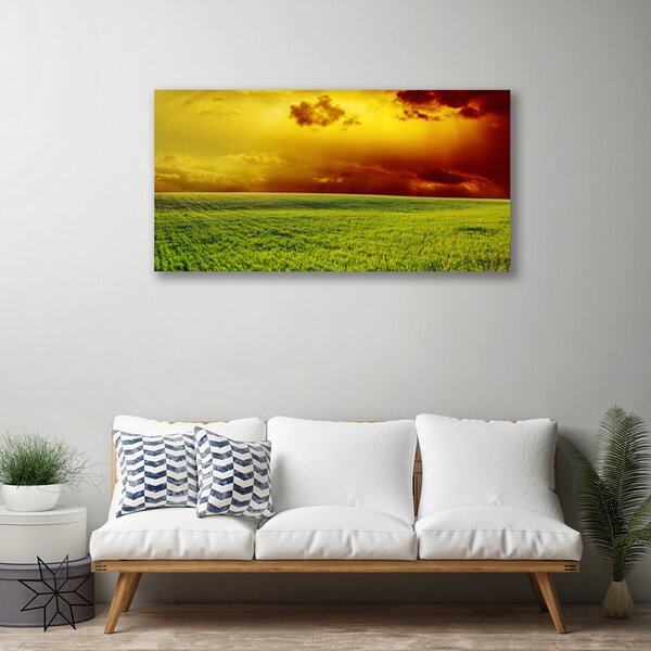 Obraz Canvas Pole príroda 100x50 cm