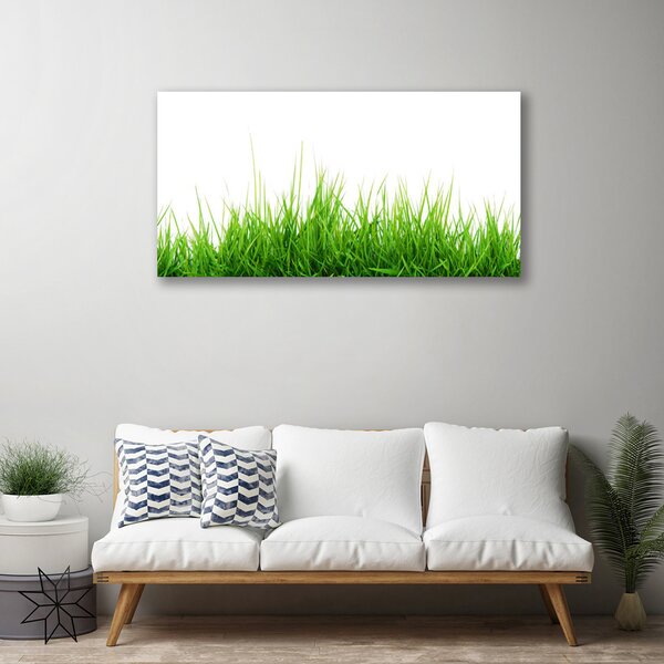 Obraz Canvas Tráva príroda rastlina 100x50 cm