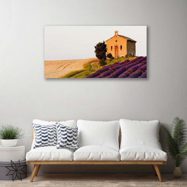 Obraz Canvas Pole príroda 100x50 cm