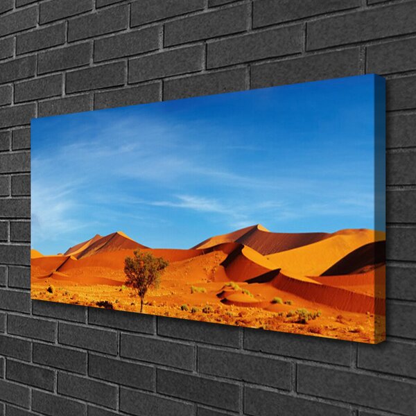 Obraz Canvas Púšť krajina 100x50 cm