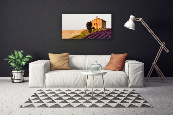 Obraz Canvas Pole príroda 100x50 cm