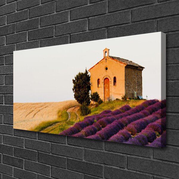 Obraz Canvas Pole príroda 100x50 cm