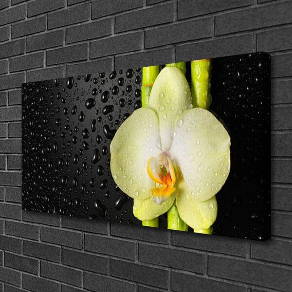 Obraz Canvas Bambus kvet orchidea 100x50 cm