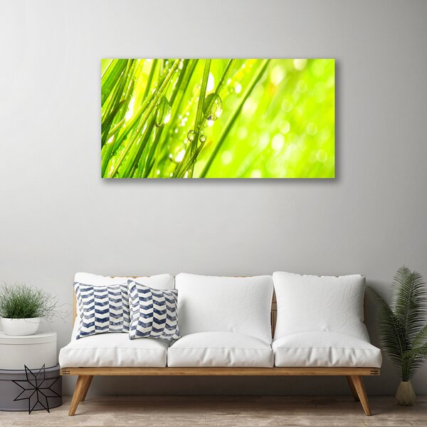 Obraz Canvas Príroda kvapky tráva 100x50 cm
