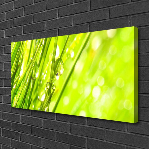 Obraz Canvas Príroda kvapky tráva 100x50 cm
