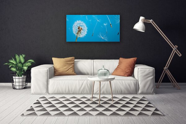 Obraz Canvas Púpavy kvety príroda 100x50 cm