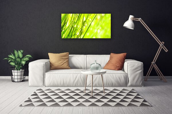 Obraz Canvas Príroda kvapky tráva 100x50 cm