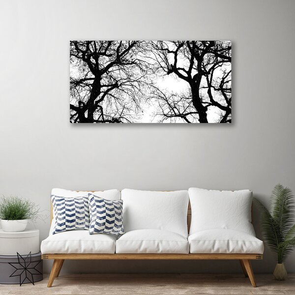 Obraz Canvas Stromy príroda čiernobiely 100x50 cm