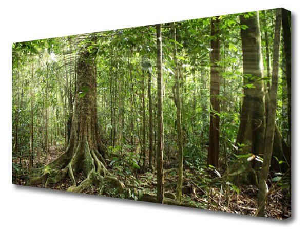Obraz Canvas Les príroda džungle 100x50 cm