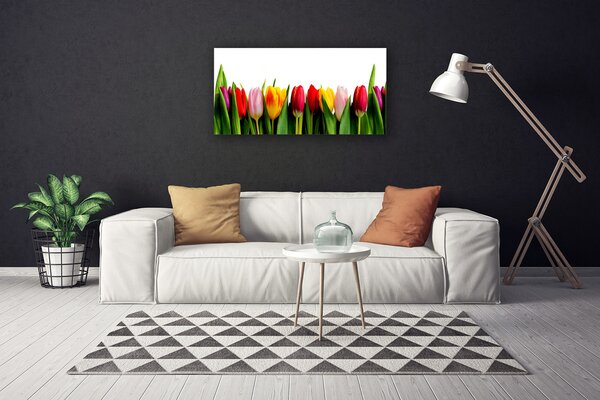 Obraz na plátne Tulipány rastlina 100x50 cm