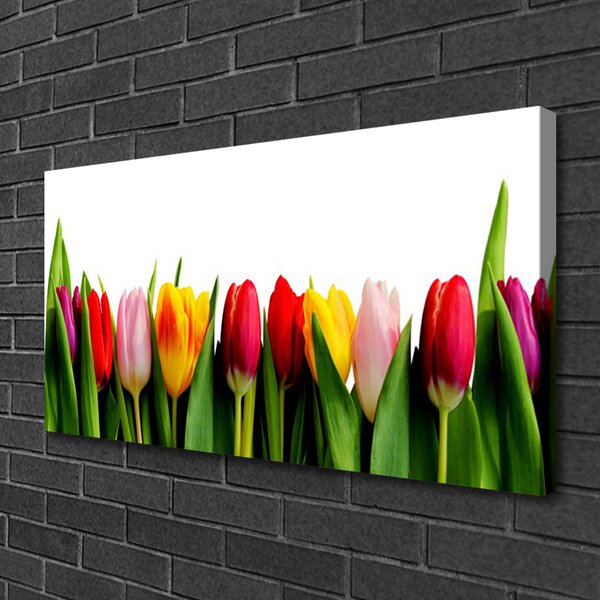 Obraz na plátne Tulipány rastlina 100x50 cm