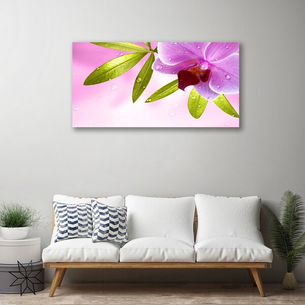Obraz na plátne Kvet listy rastlina 100x50 cm