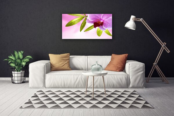 Obraz na plátne Kvet listy rastlina 100x50 cm