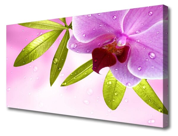 Obraz na plátne Kvet listy rastlina 125x50 cm