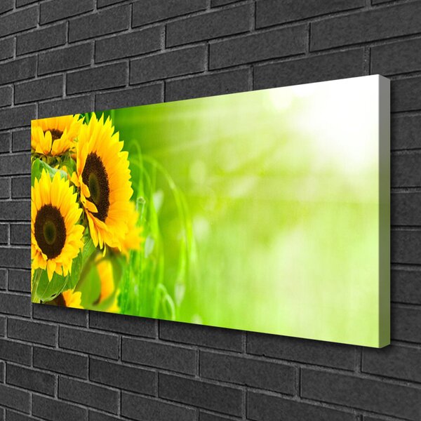 Obraz na plátne Slnečnicami rastlina 100x50 cm
