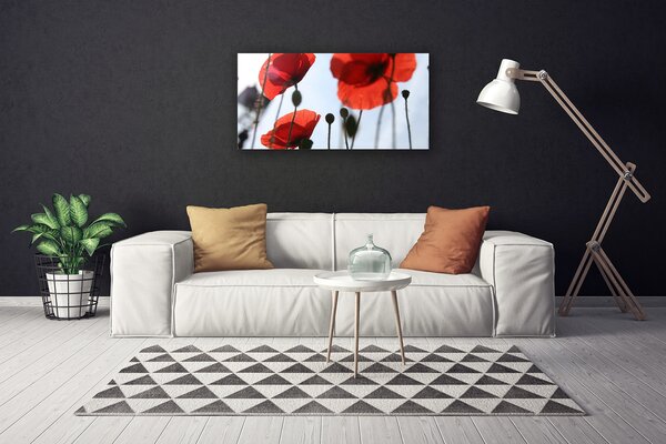Obraz na plátne Maky rastlina 100x50 cm