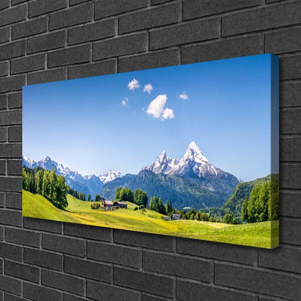 Obraz na plátne Pole stromy hory príroda 100x50 cm