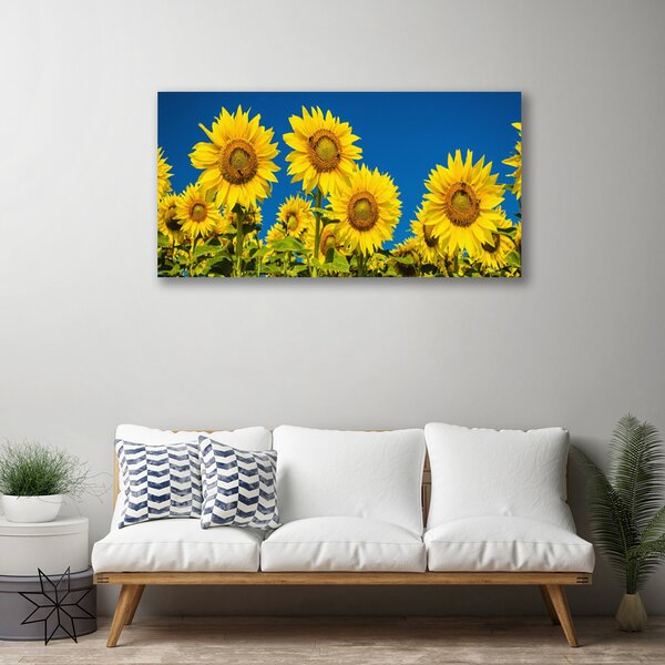 Obraz na plátne Slnečnicami rastlina 100x50 cm