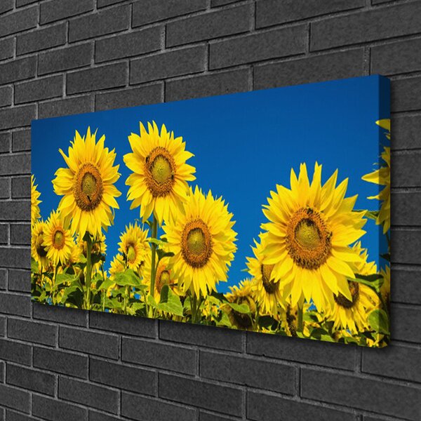 Obraz na plátne Slnečnicami rastlina 100x50 cm
