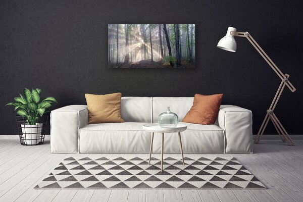 Obraz na plátne Les príroda 100x50 cm