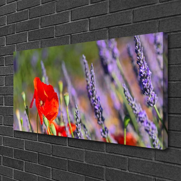 Obraz na plátne Kvety rastlina 100x50 cm