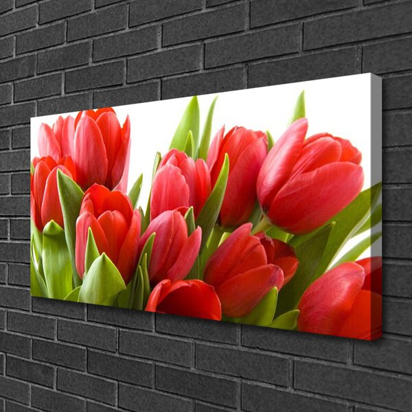 Obraz na plátne Tulipány kvety rastlina 100x50 cm