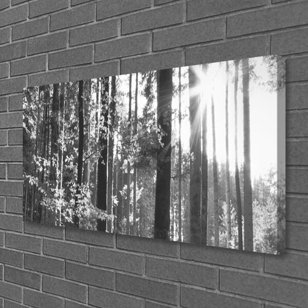 Obraz na plátne Les príroda 100x50 cm