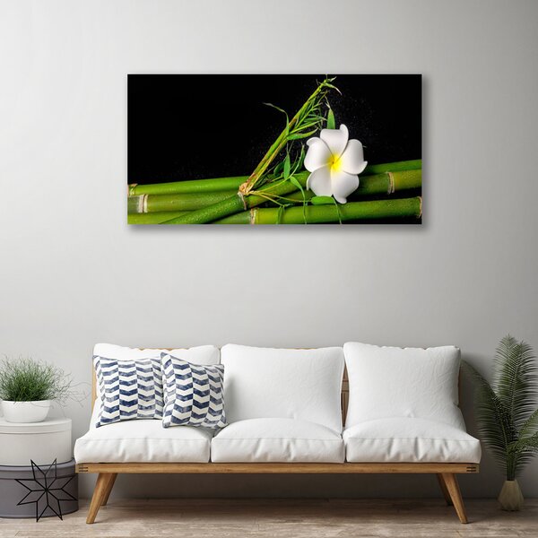 Obraz na plátne Bambus kvet rastlina 100x50 cm